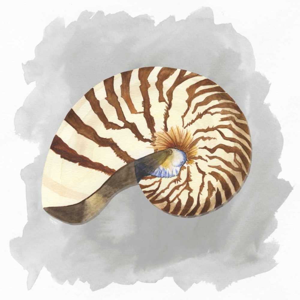 Shells on Grey III art print by Tara Reed for $57.95 CAD
