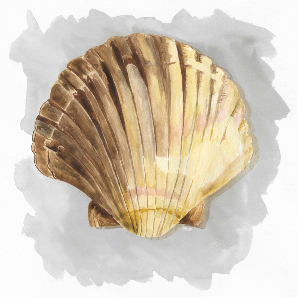 Shells on Grey V art print by Tara Reed for $57.95 CAD