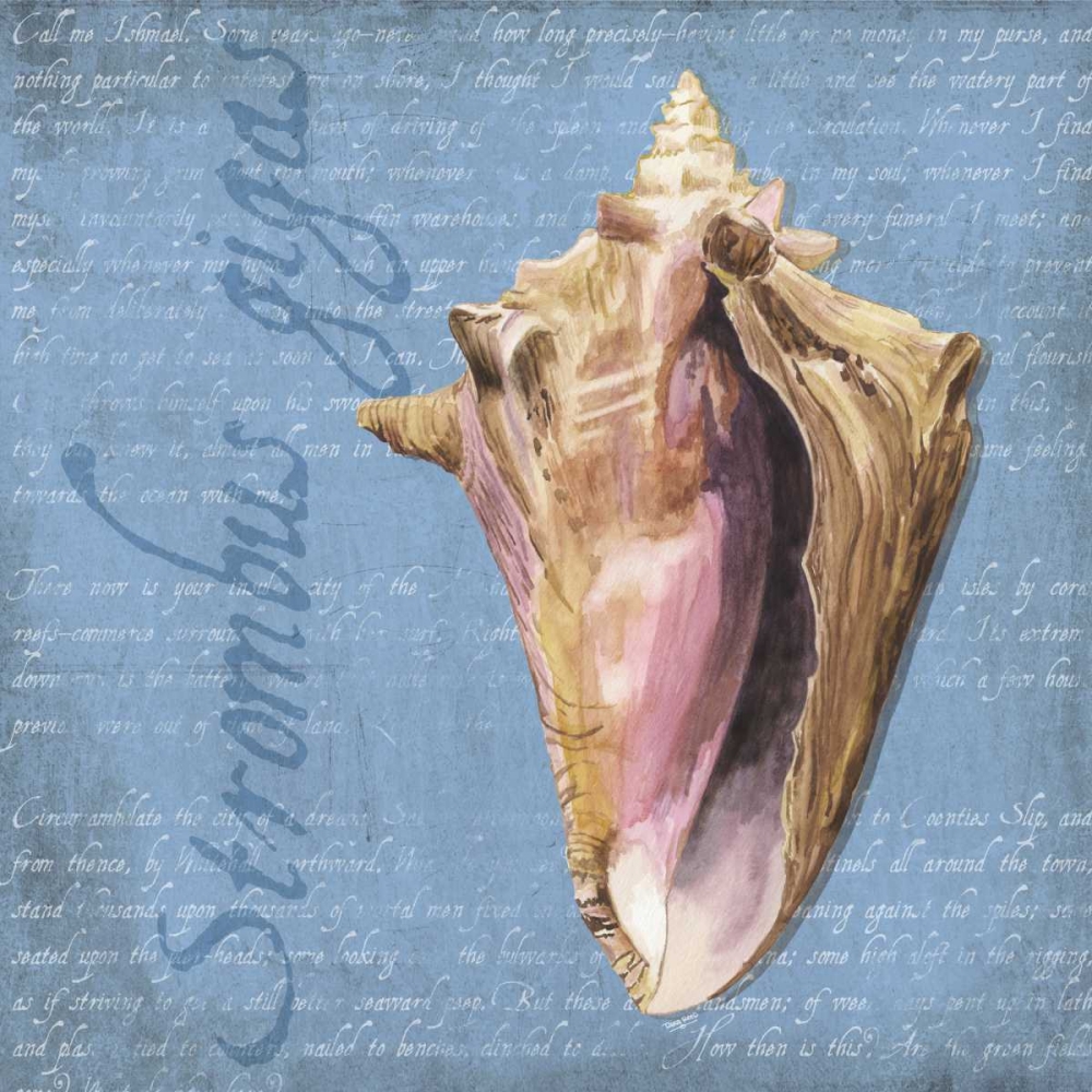 Oceanum Shells Blue I art print by Tara Reed for $57.95 CAD