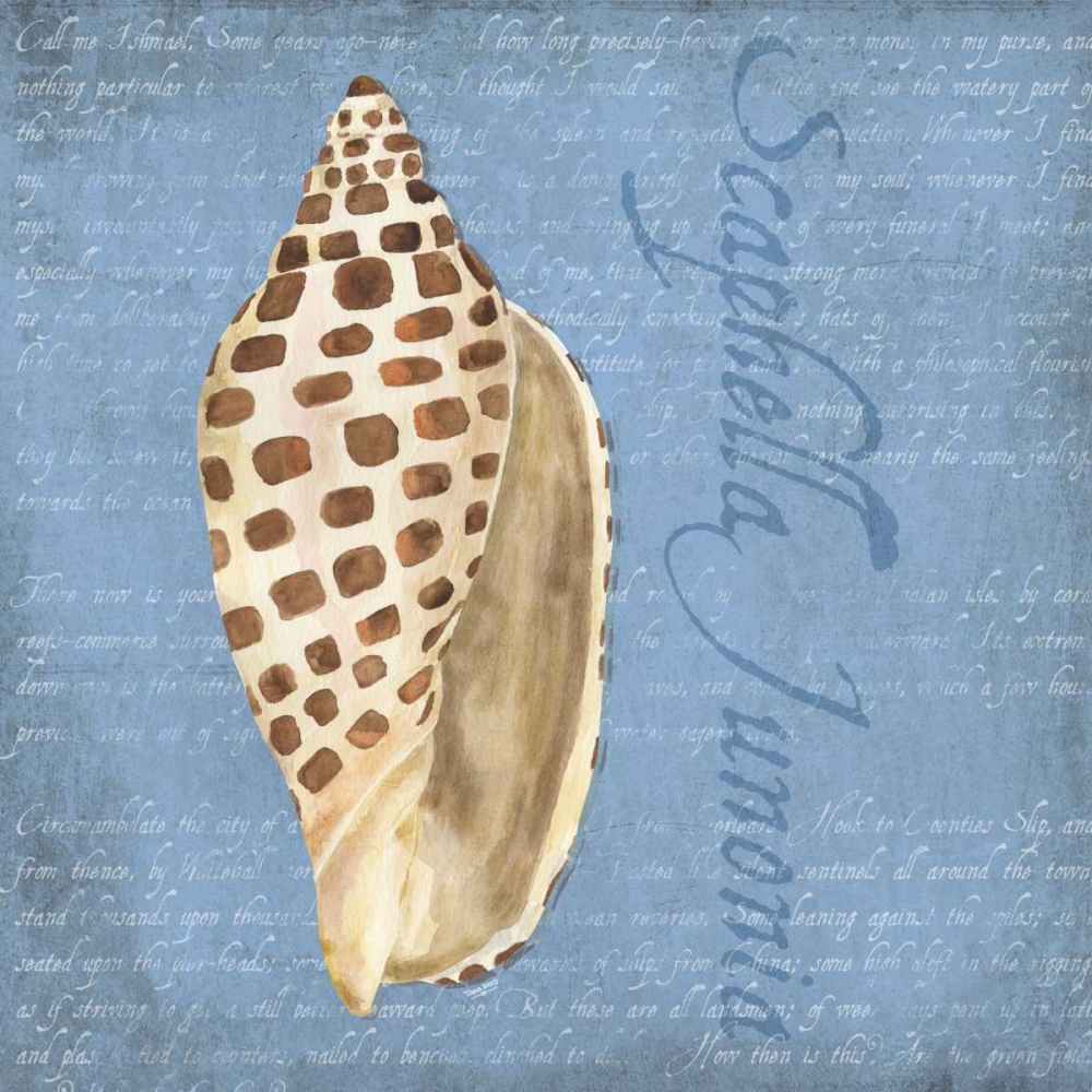 Oceanum Shells Blue II art print by Tara Reed for $57.95 CAD