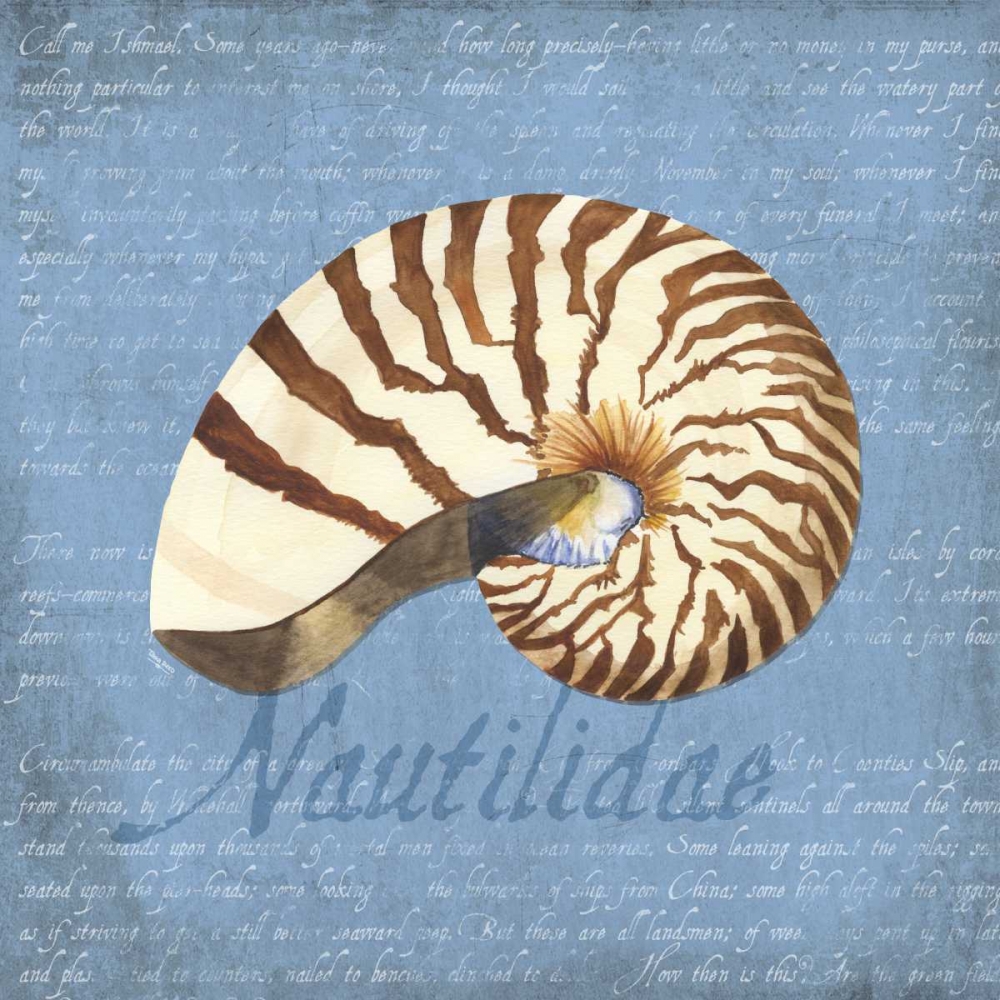 Oceanum Shells Blue III art print by Tara Reed for $57.95 CAD