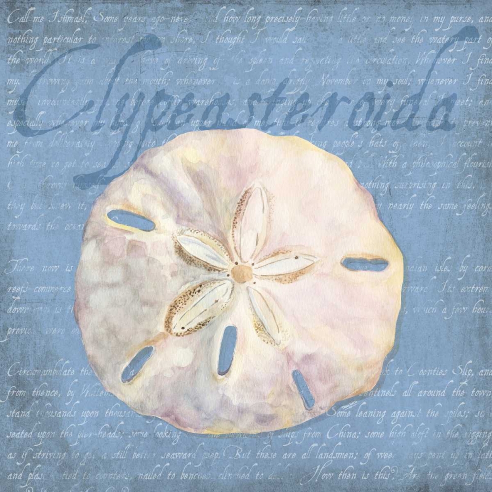 Oceanum Shells Blue IV art print by Tara Reed for $57.95 CAD