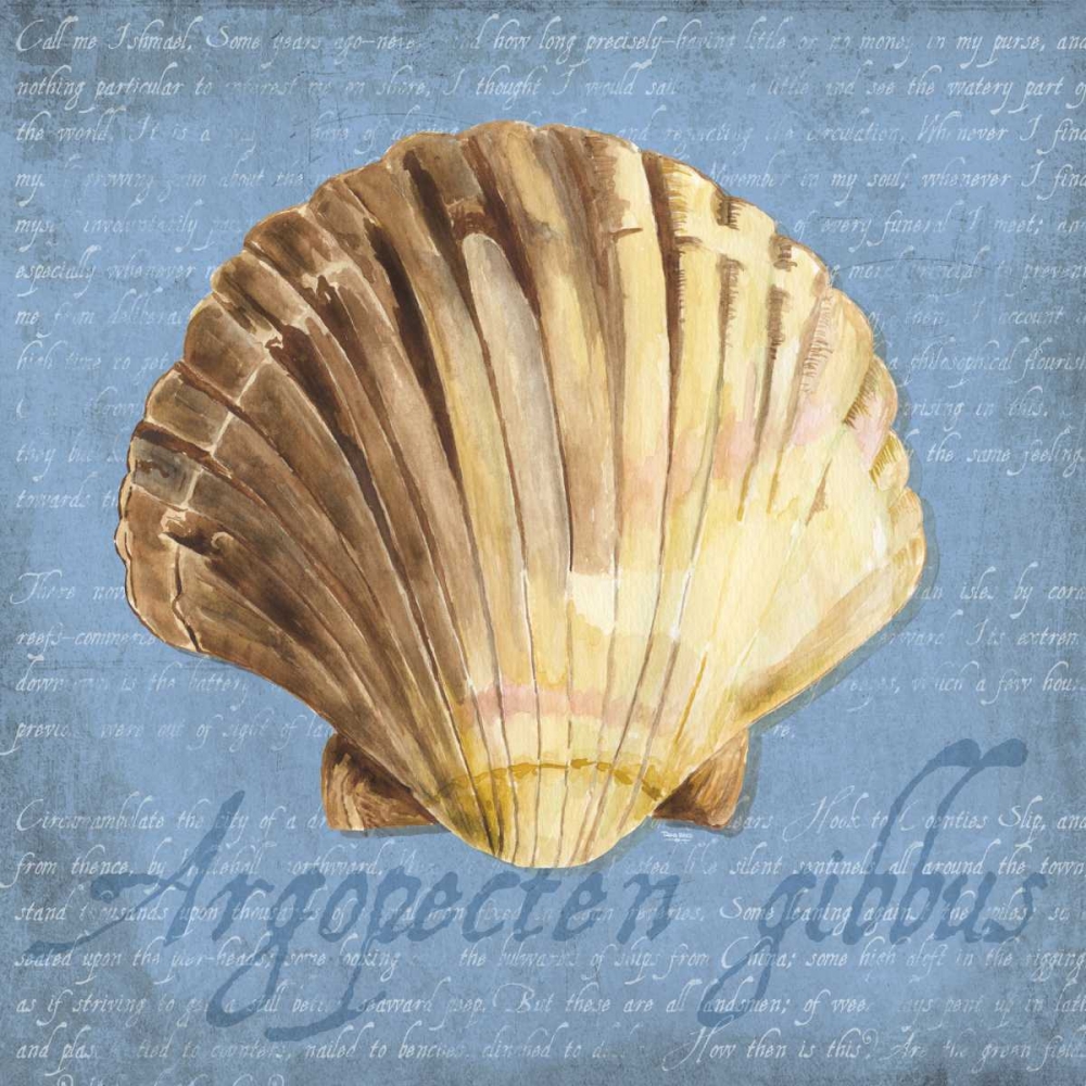 Oceanum Shells Blue V art print by Tara Reed for $57.95 CAD