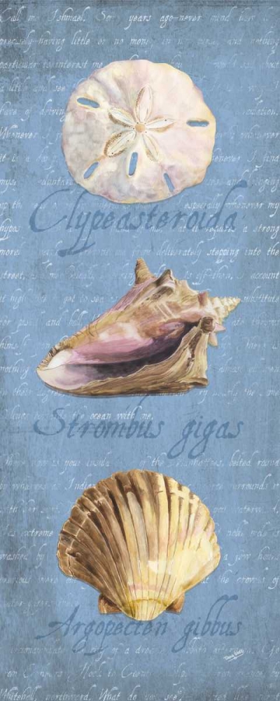 Oceanum Shell Panel Blue I art print by Tara Reed for $57.95 CAD
