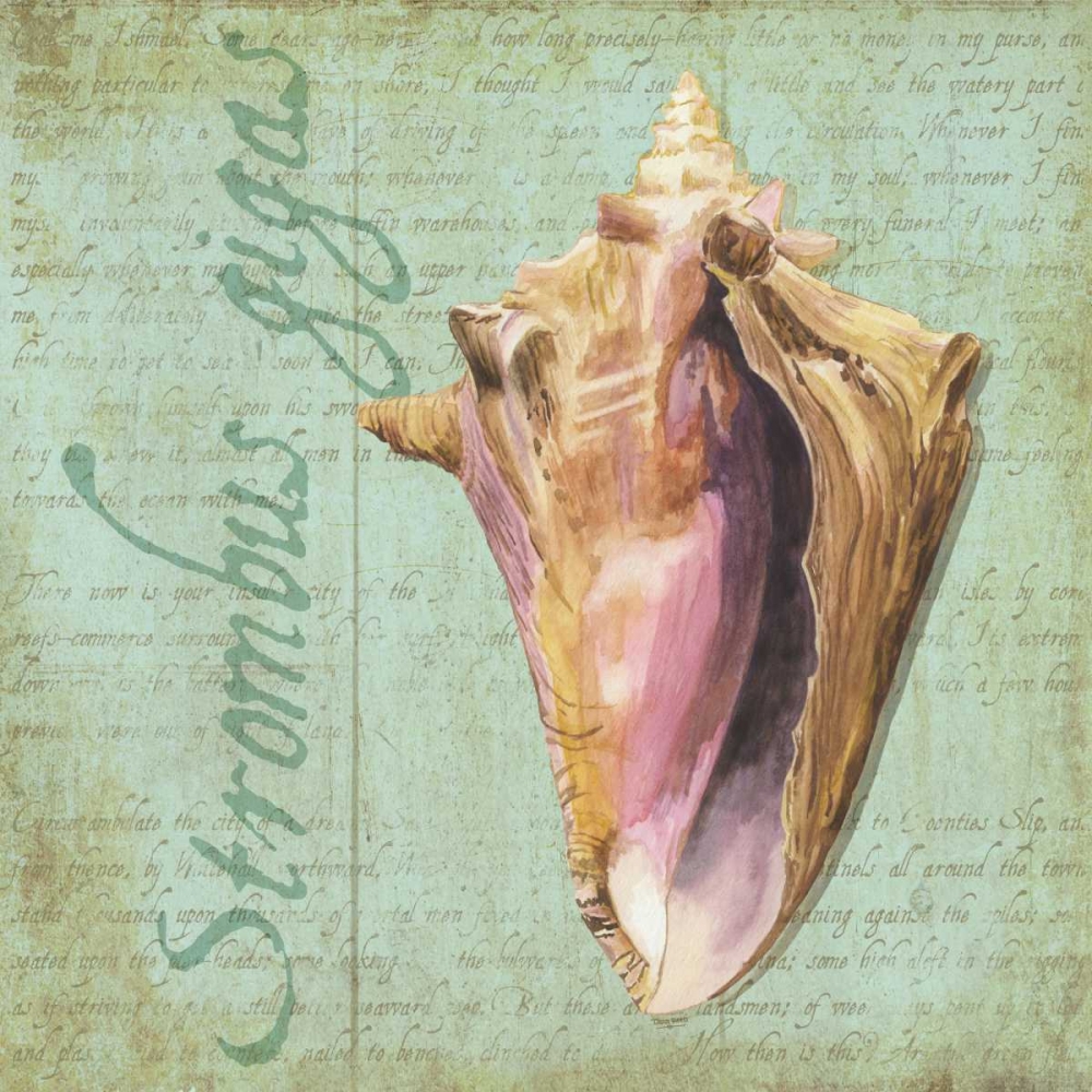 Oceanum Shells Green I art print by Tara Reed for $57.95 CAD