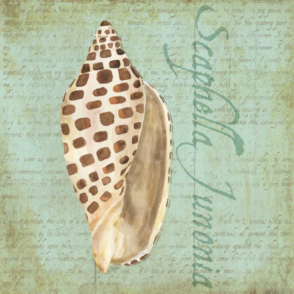 Oceanum Shells Green II art print by Tara Reed for $57.95 CAD