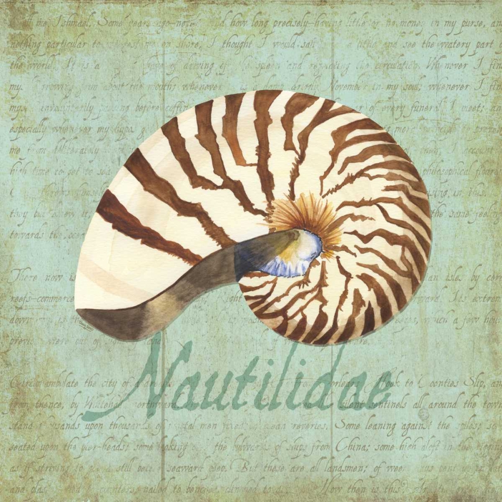 Oceanum Shells Green III art print by Tara Reed for $57.95 CAD