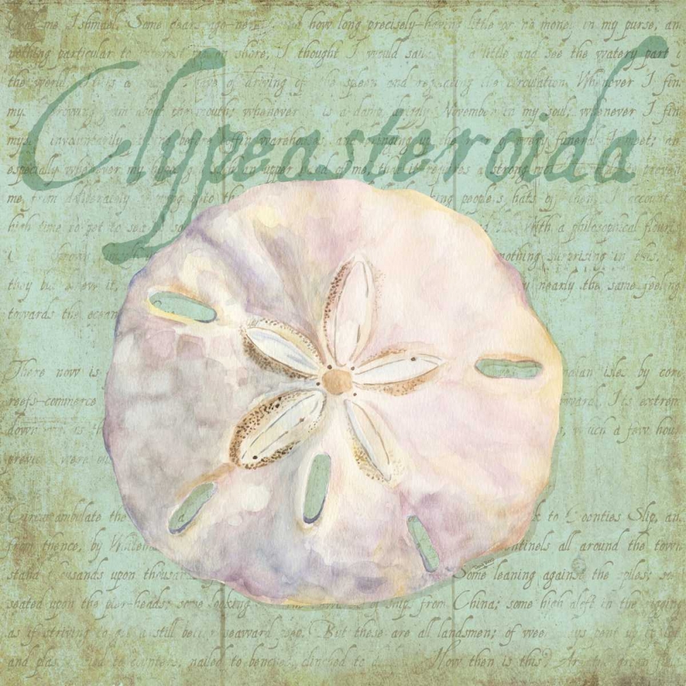 Oceanum Shells Green IV art print by Tara Reed for $57.95 CAD