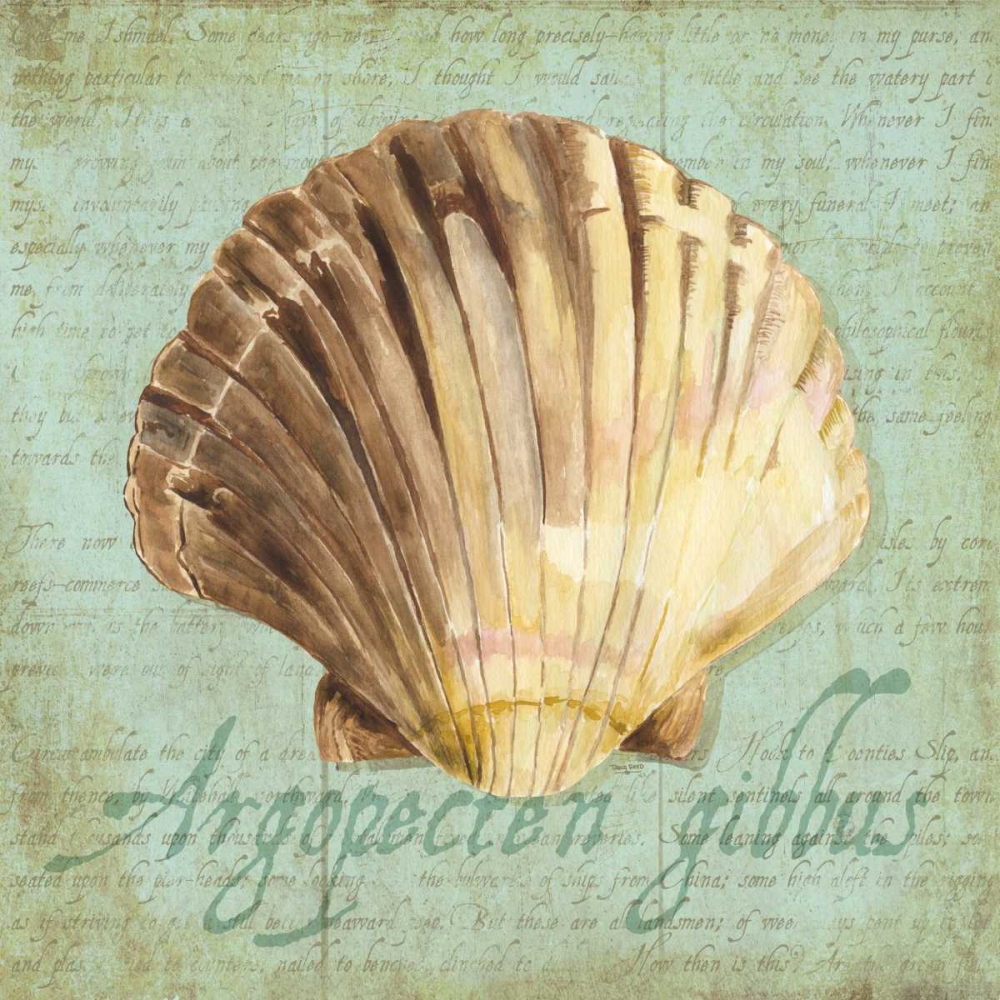 Oceanum Shells Green V art print by Tara Reed for $57.95 CAD