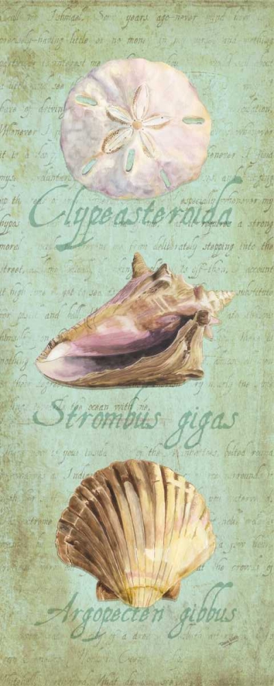 Oceanum Shell Panel Green I art print by Tara Reed for $57.95 CAD