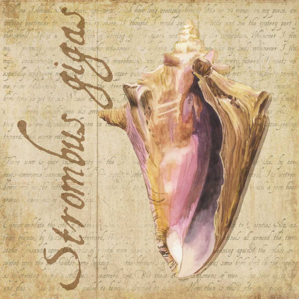 Oceanum Shells Beige I art print by Tara Reed for $57.95 CAD
