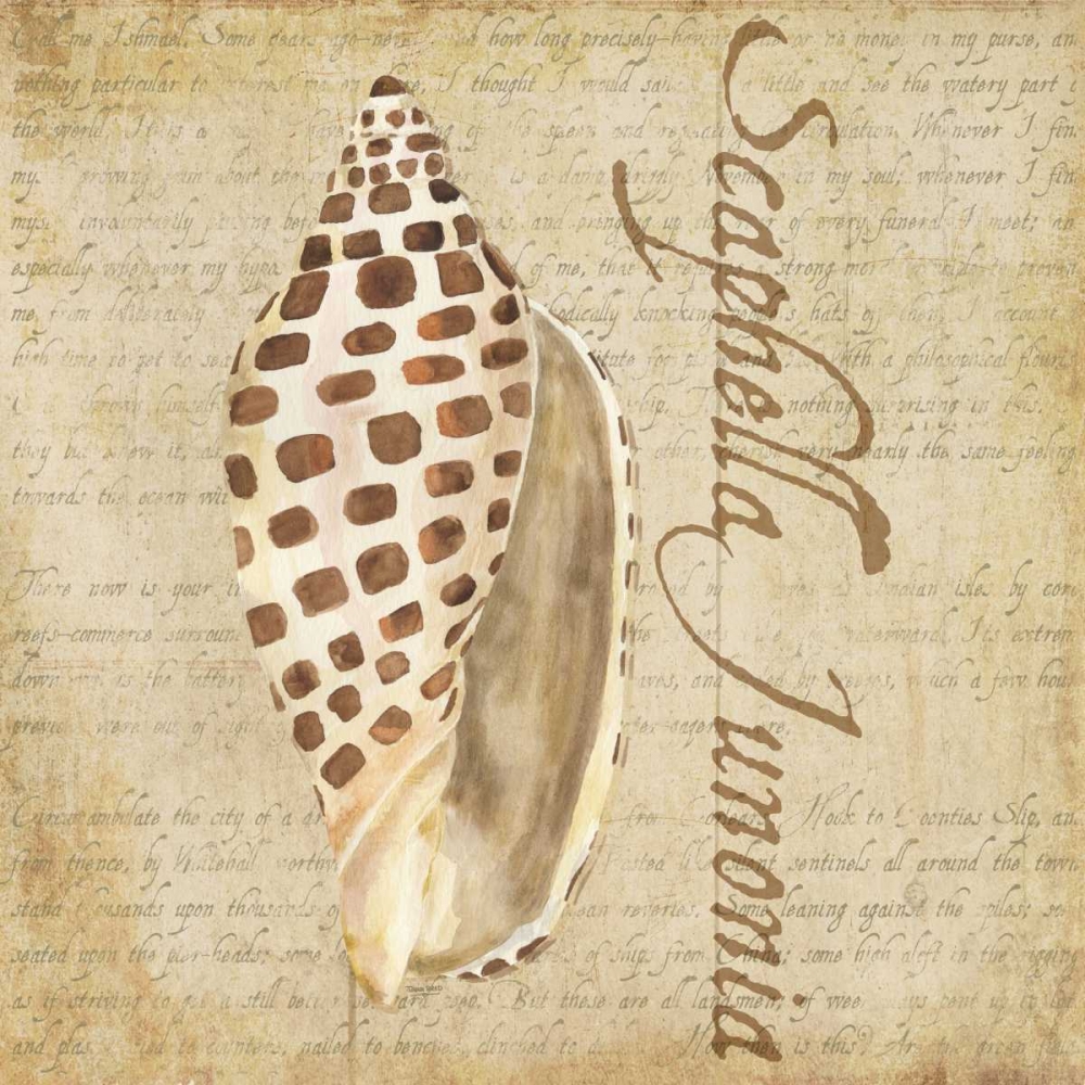 Oceanum Shells Beige II art print by Tara Reed for $57.95 CAD