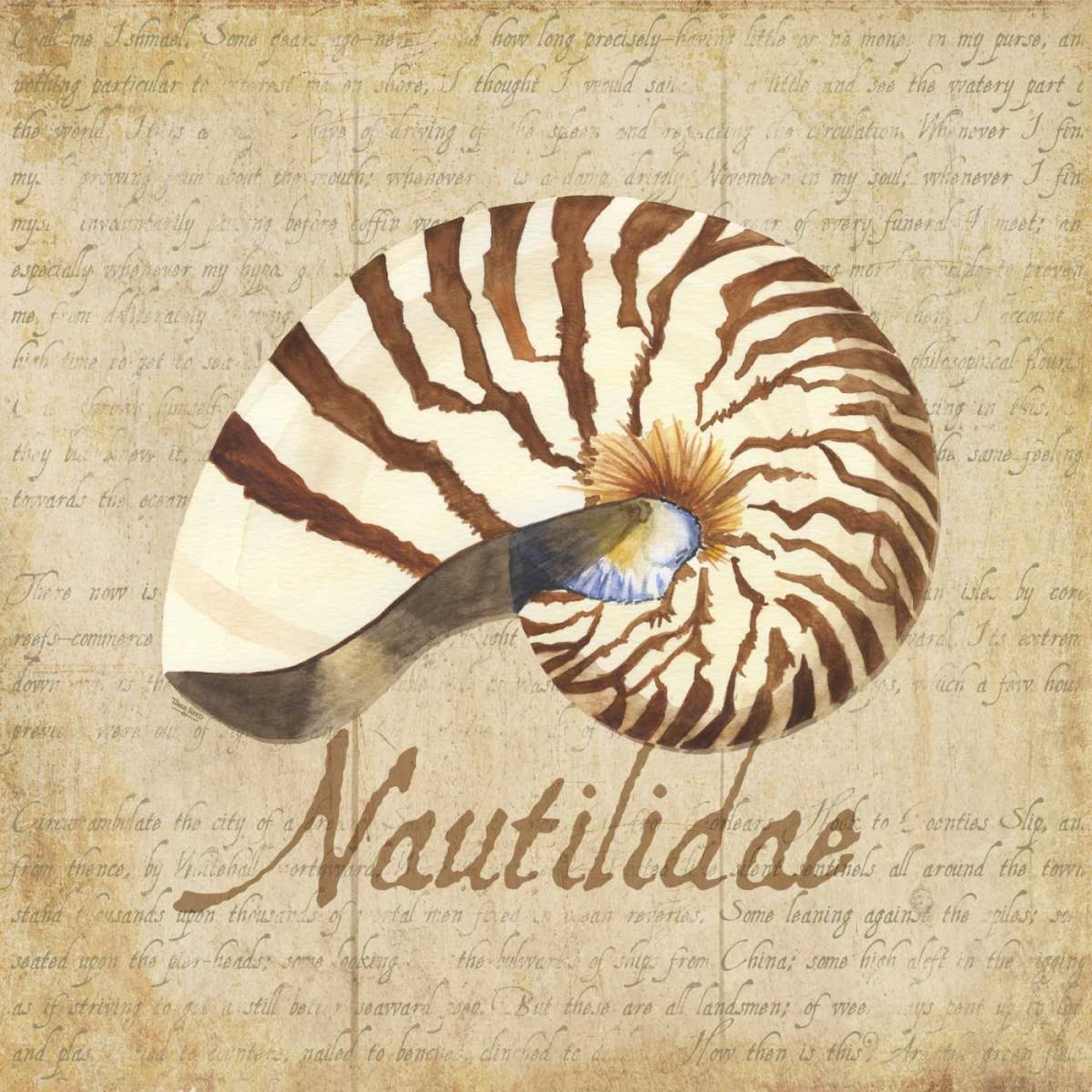 Oceanum Shells Beige III art print by Tara Reed for $57.95 CAD