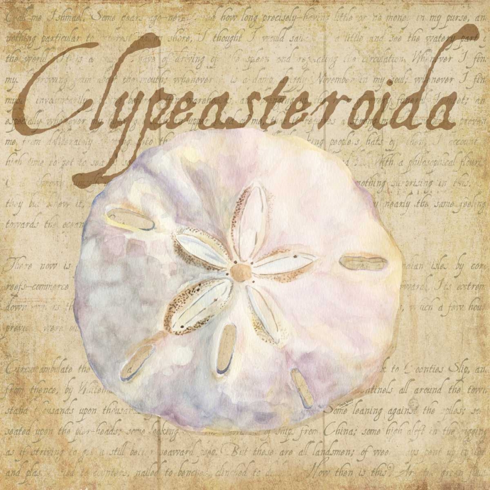 Oceanum Shells Beige IV art print by Tara Reed for $57.95 CAD
