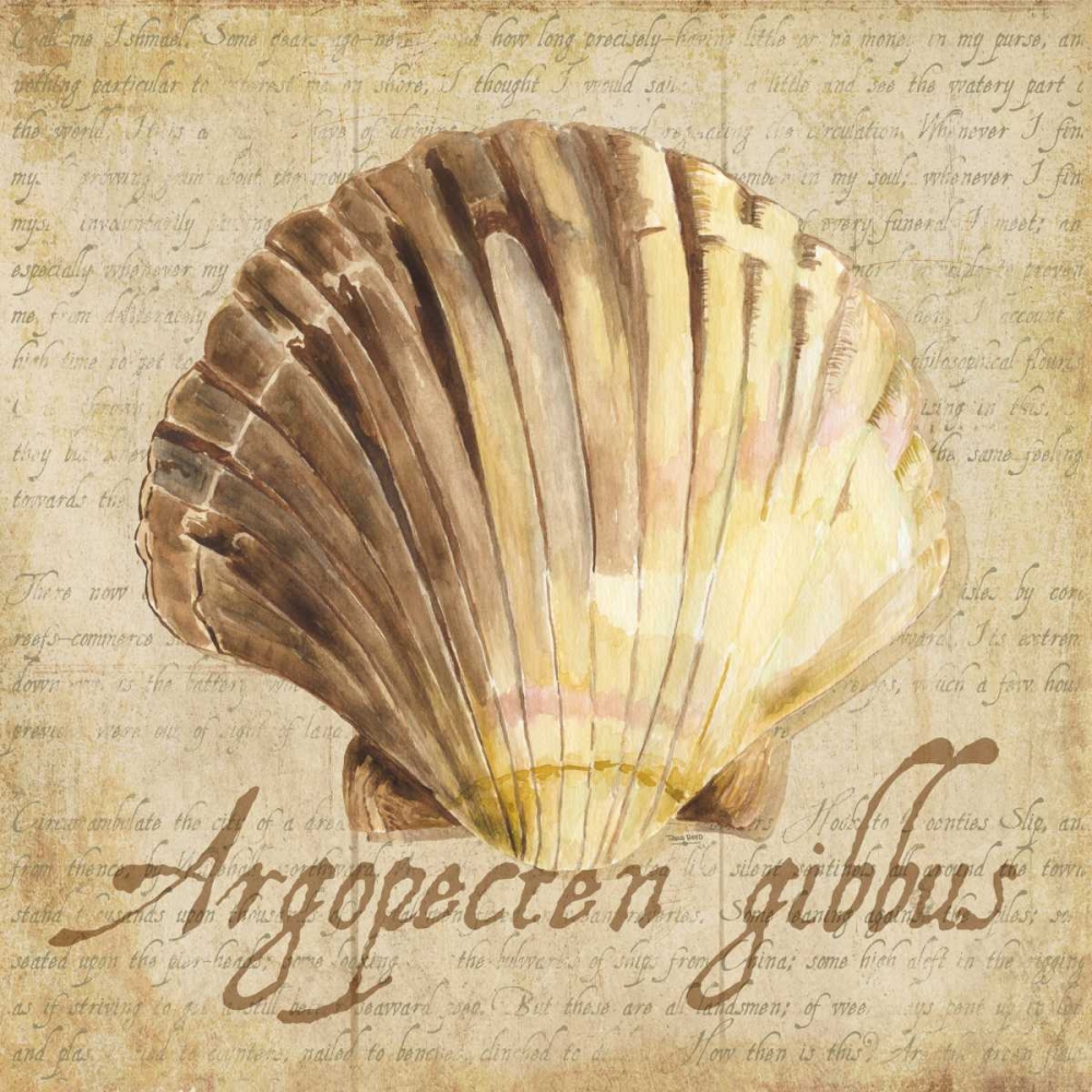 Oceanum Shells Beige V art print by Tara Reed for $57.95 CAD