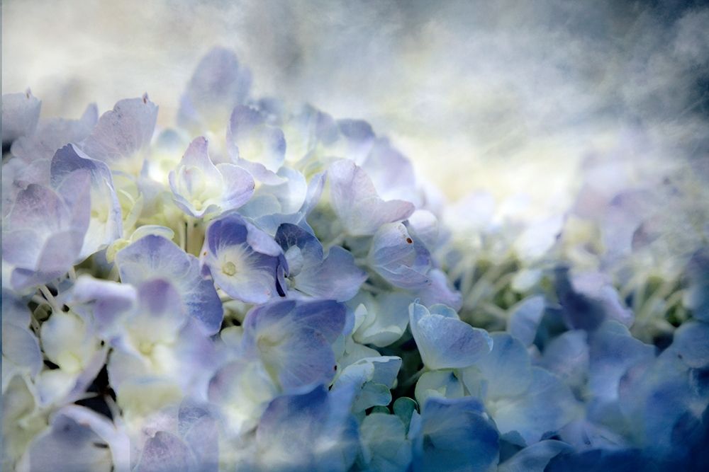 Calm art print by Lu Anne Tyrrell for $57.95 CAD