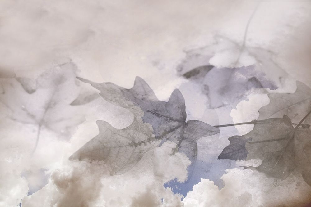 Shadow Leaves art print by Lu Anne Tyrrell for $57.95 CAD
