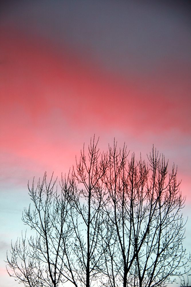Twilight Sunset panel set art print by Lu Anne Tyrrell for $57.95 CAD
