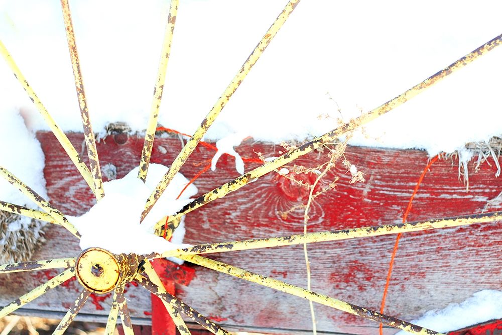 Winter Wagon art print by Lu Anne Tyrrell for $57.95 CAD