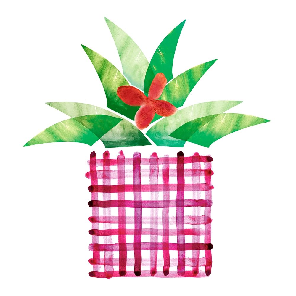 Colorful Cactus V art print by Northern Lights for $57.95 CAD