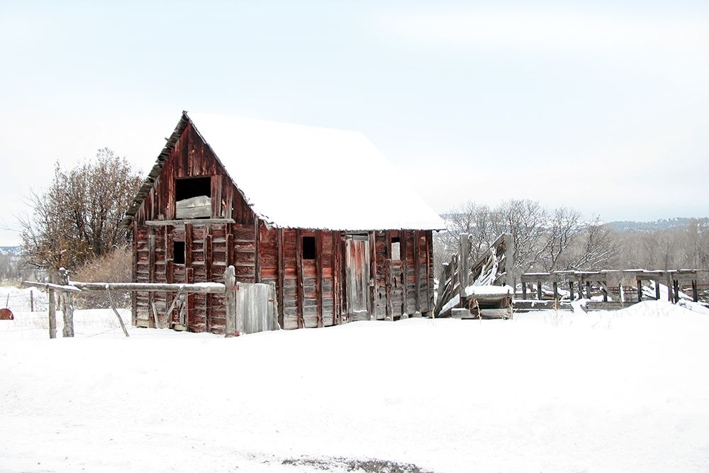 Winter Barn Landscape art print by Lu Anne Tyrrell for $57.95 CAD
