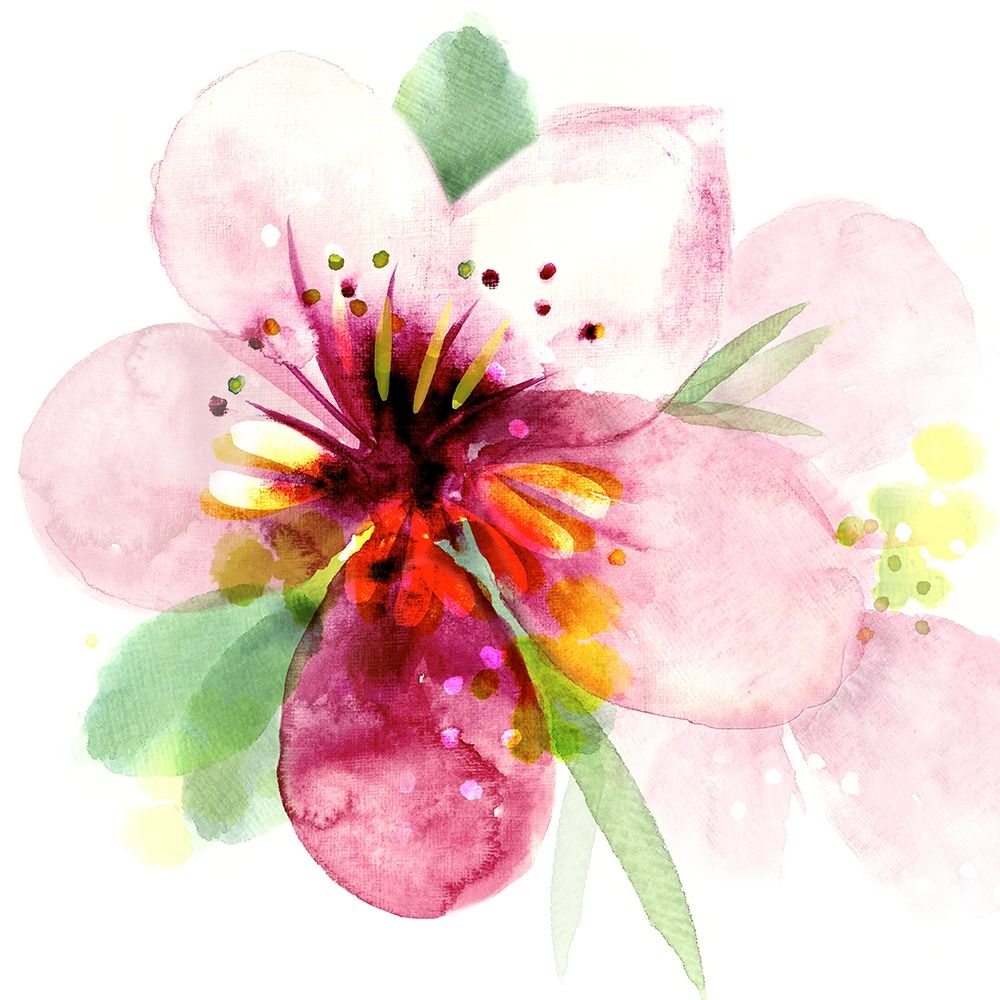 Floral Beauty I art print by Northern Lights for $57.95 CAD