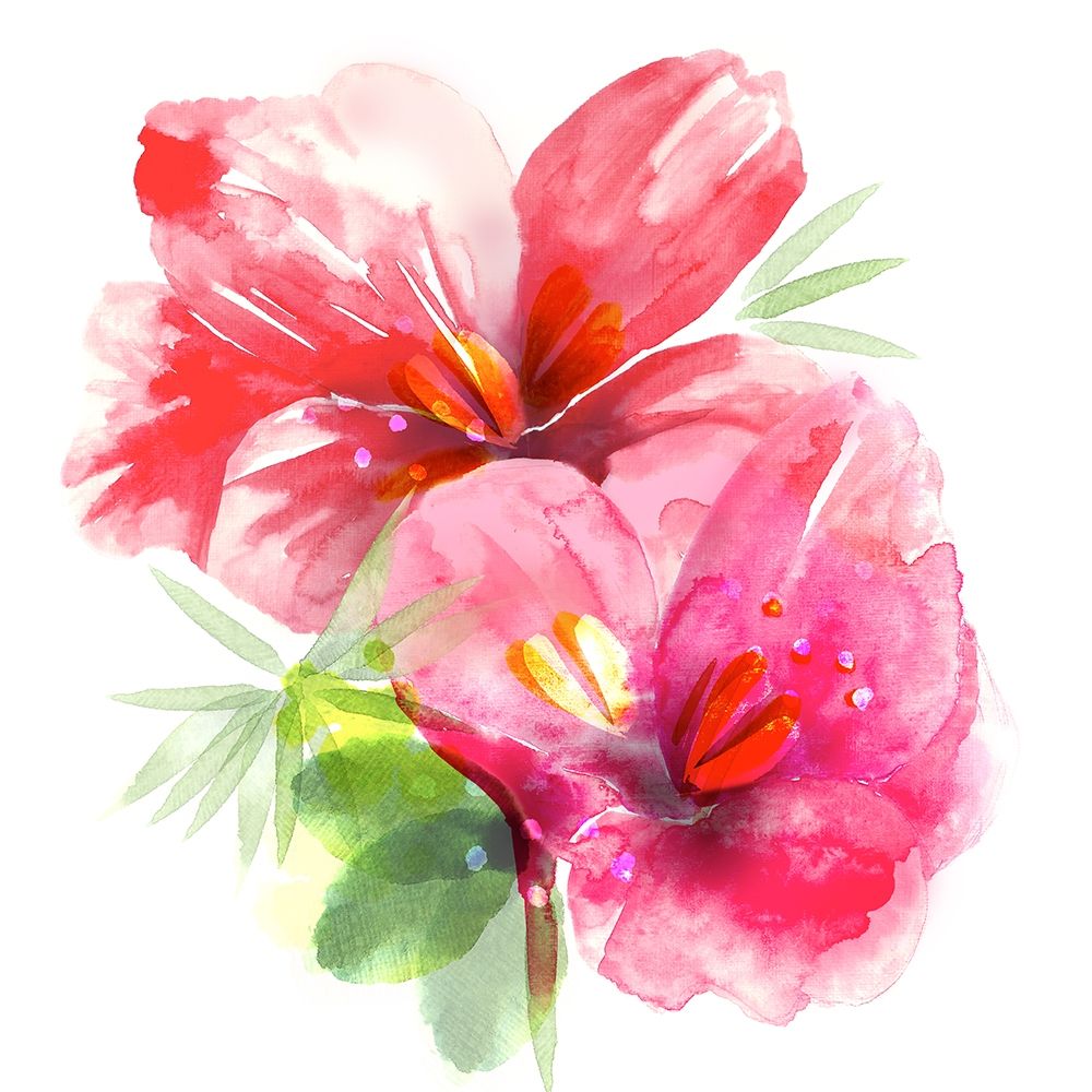 Floral Beauty II art print by Northern Lights for $57.95 CAD