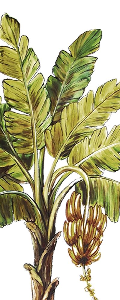 Tropical Palm Paradise II art print by Tre Sorelle Studios for $57.95 CAD