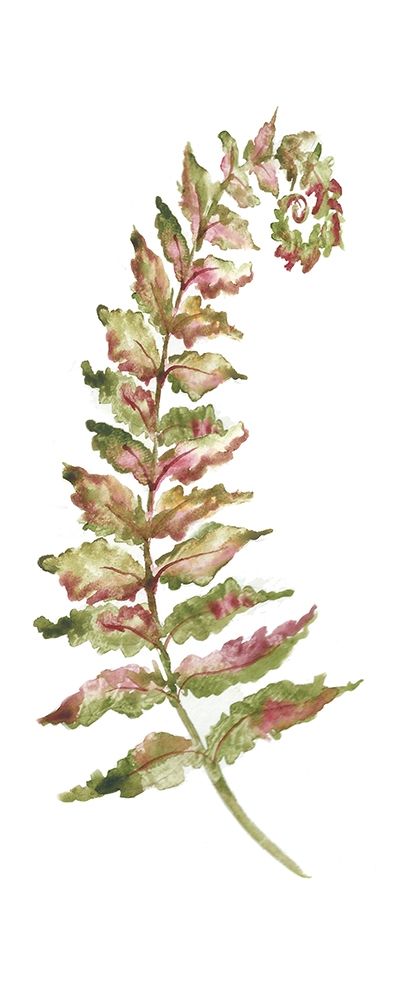 Botanical Fern Single II art print by Tre Sorelle Studios for $57.95 CAD