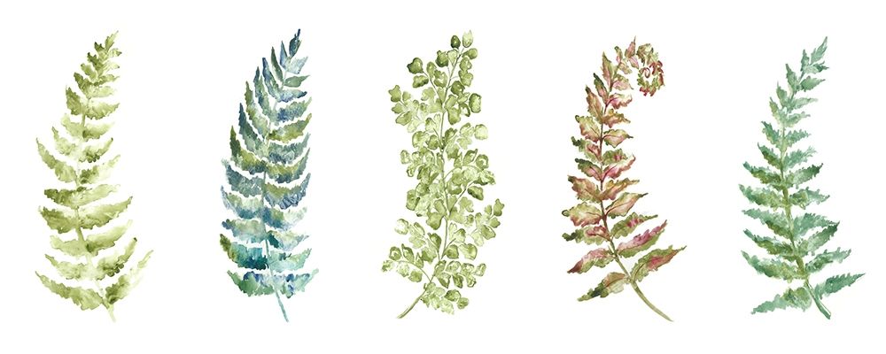 Botanical Ferns Panel art print by Tre Sorelle Studios for $57.95 CAD
