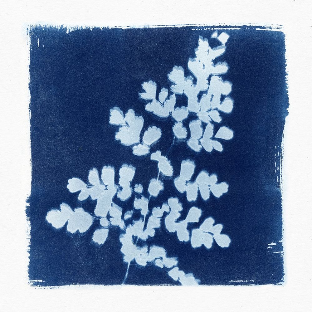 Flora Cyanotype I art print by Nancy Green Design for $57.95 CAD