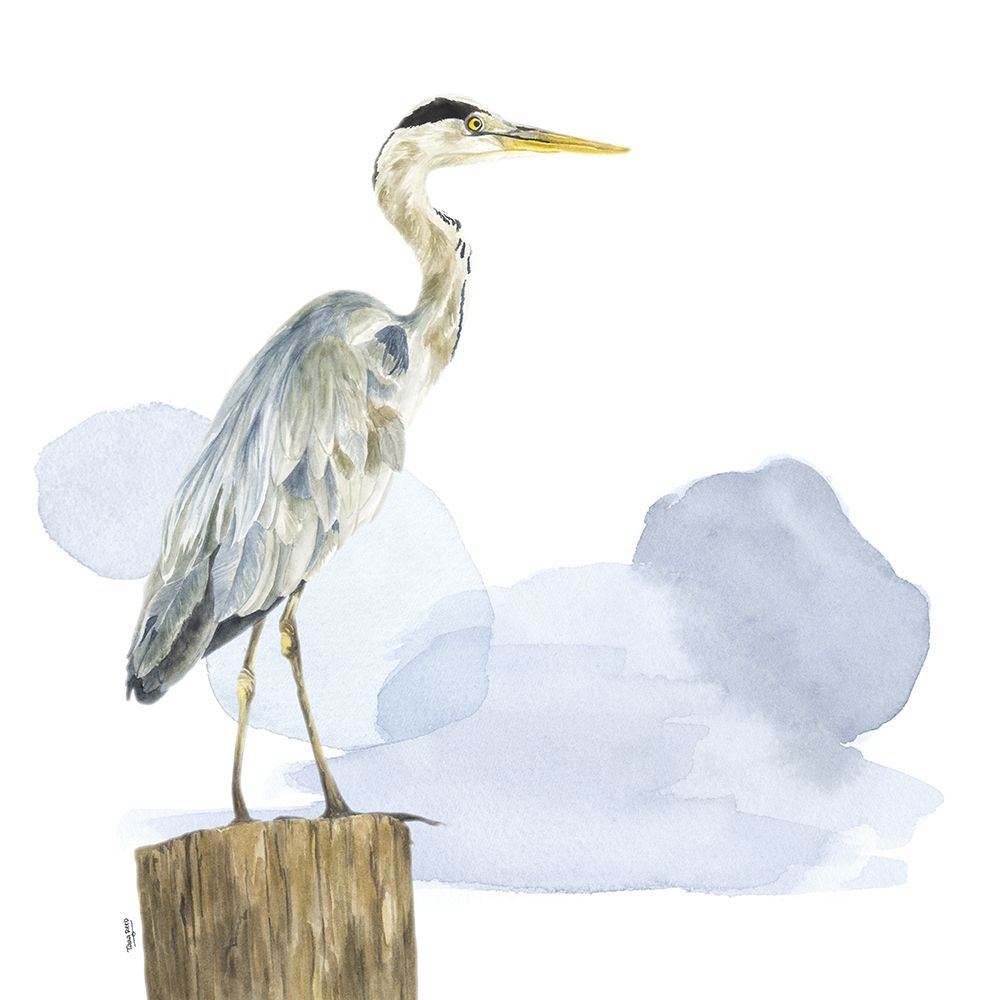 Birds of the Coast on White I art print by Tara Reed for $57.95 CAD