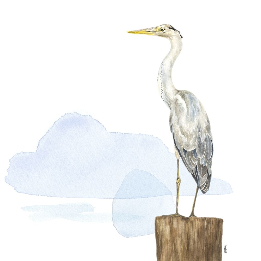 Birds of the Coast on White II art print by Tara Reed for $57.95 CAD