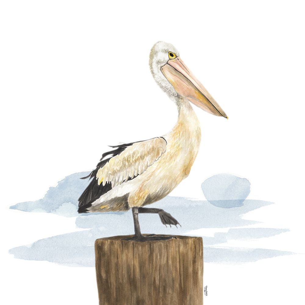 Birds of the Coast on White III art print by Tara Reed for $57.95 CAD