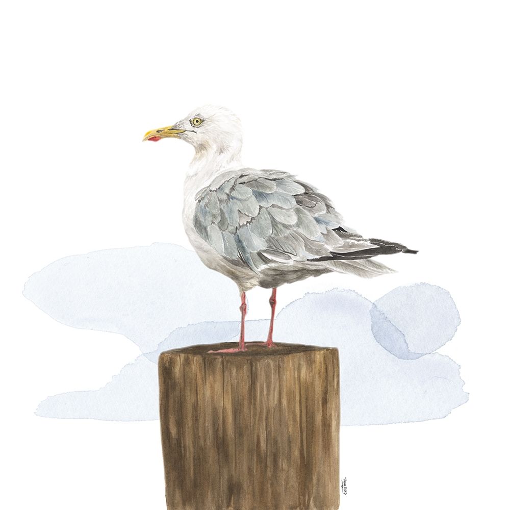 Birds of the Coast on White IV art print by Tara Reed for $57.95 CAD