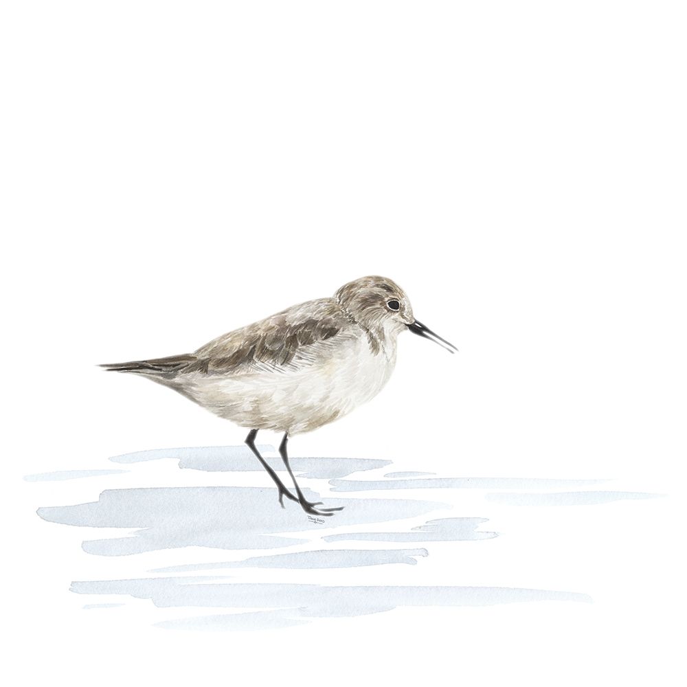 Birds of the Coast on White V art print by Tara Reed for $57.95 CAD