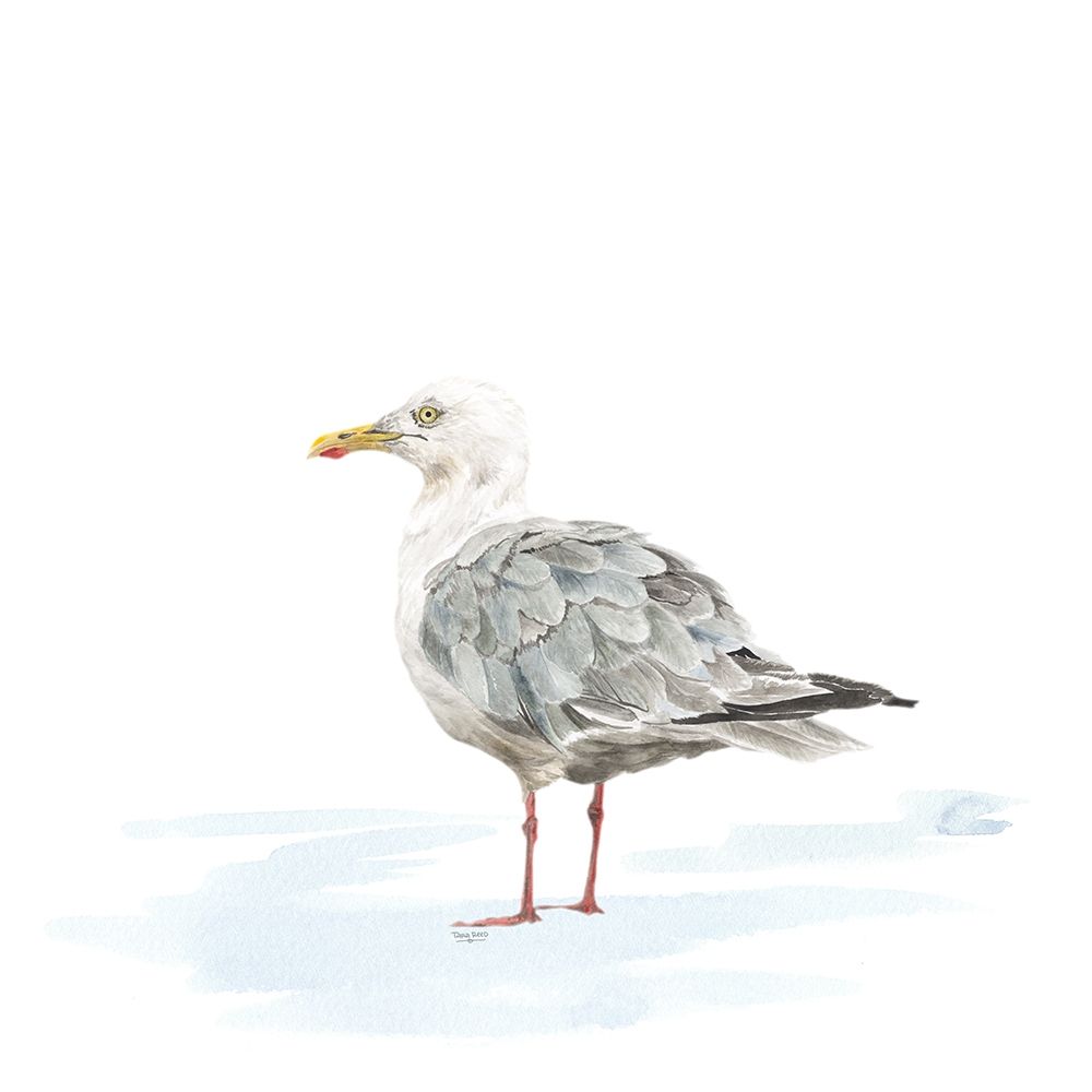 Birds of the Coast on White VI art print by Tara Reed for $57.95 CAD
