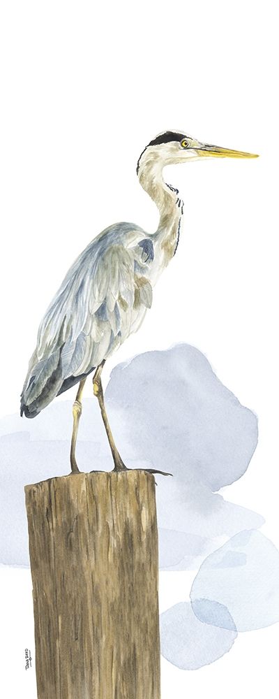 Birds of the Coast Panel I art print by Tara Reed for $57.95 CAD