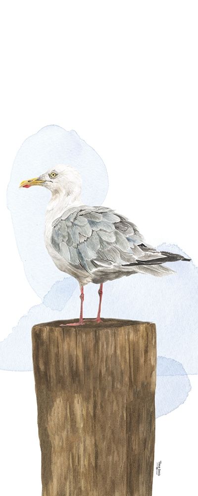Birds of the Coast Panel IV art print by Tara Reed for $57.95 CAD