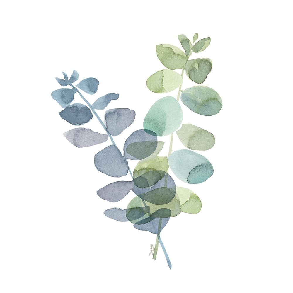 Natural Inspiration Blue Eucalyptus on White I art print by Tara Reed for $57.95 CAD