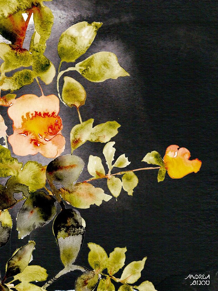 Roses on Black art print by Andrea Bijou for $57.95 CAD