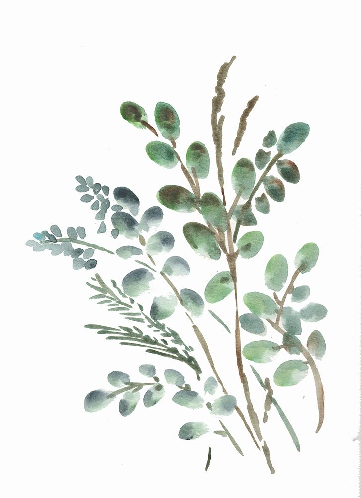 Farmhouse Botanicals II art print by Marcy Chapman for $57.95 CAD