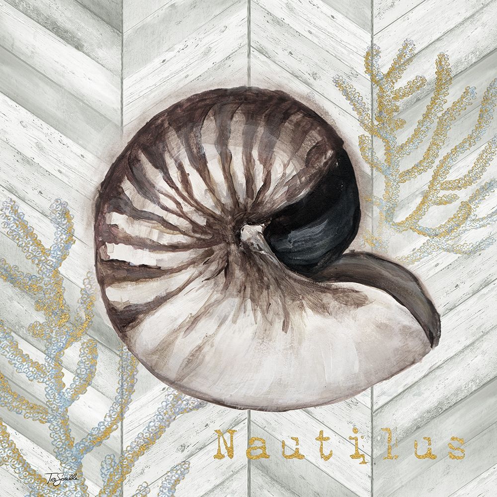 Gray Gold Chevron Nautilus Shell art print by Tre Sorelle Studios for $57.95 CAD