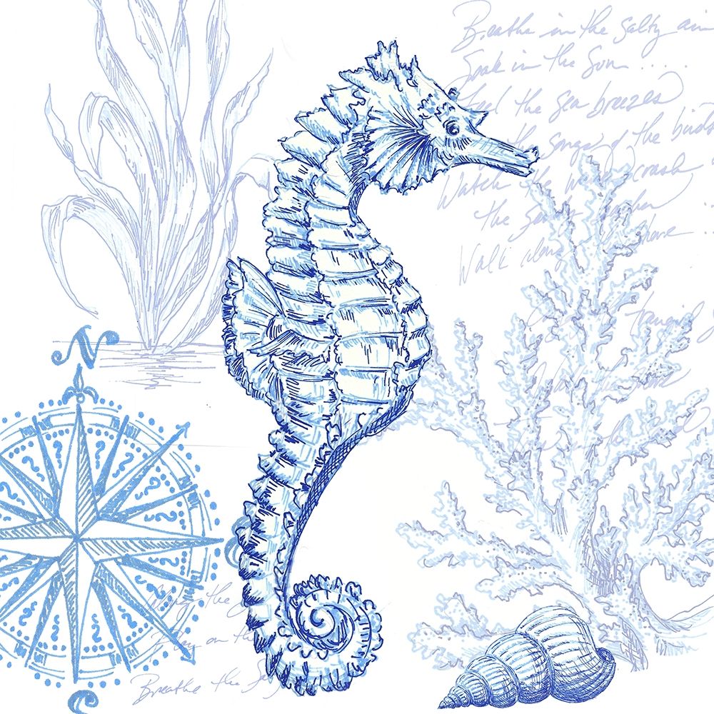 Coastal Sketchbook Sea Horse art print by Tre Sorelle Studios for $57.95 CAD