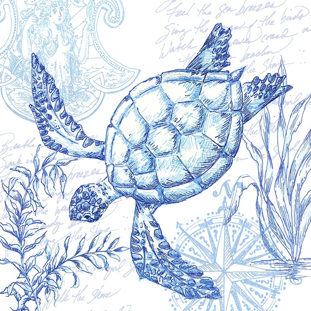 Coastal Sketchbook Turtle art print by Tre Sorelle Studios for $57.95 CAD