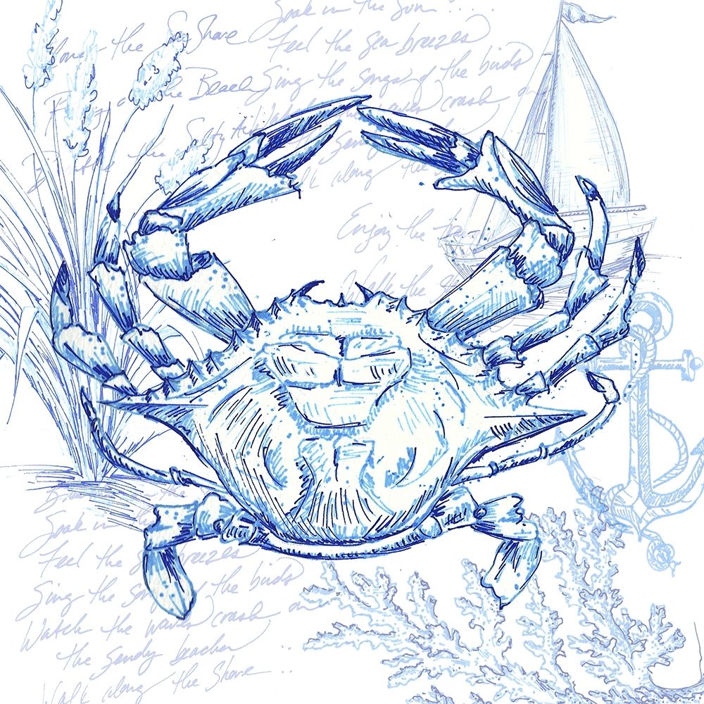 Coastal Sketchbook Crab art print by Tre Sorelle Studios for $57.95 CAD
