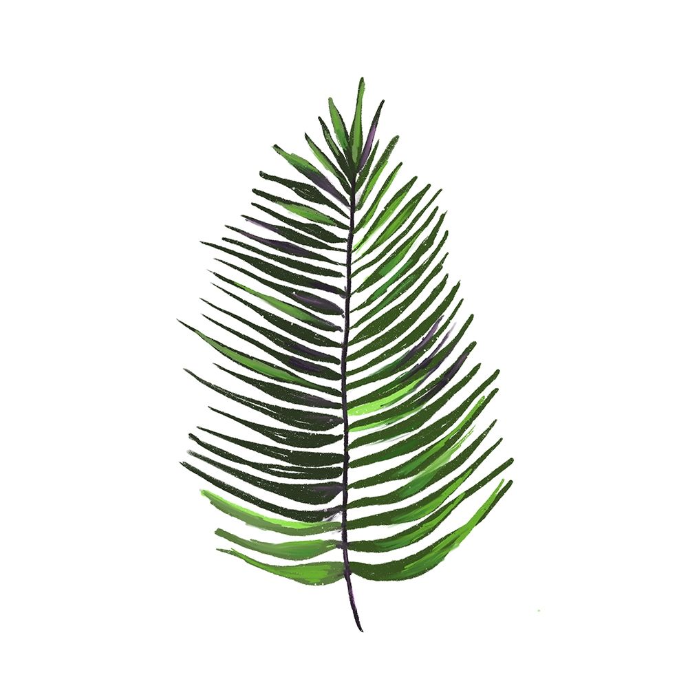 Leaves of the Tropics IV art print by h.artworks for $57.95 CAD