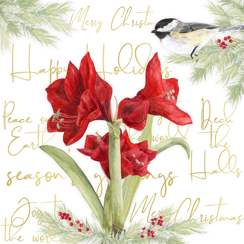 Merry Amaryllis I art print by Tara Reed for $57.95 CAD