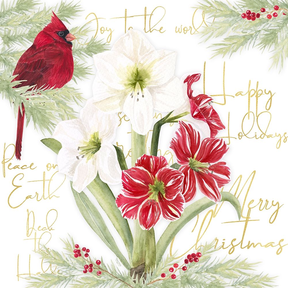 Merry Amaryllis II art print by Tara Reed for $57.95 CAD