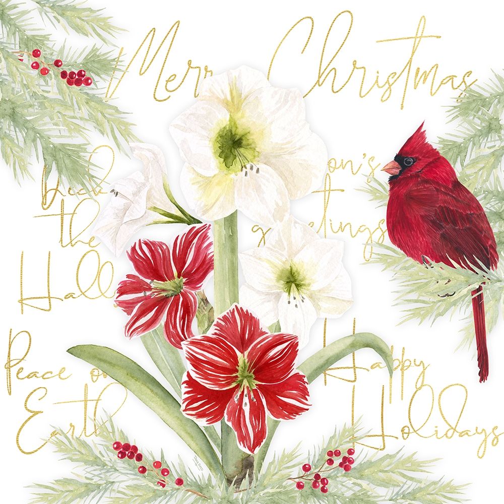Merry Amaryllis III art print by Tara Reed for $57.95 CAD